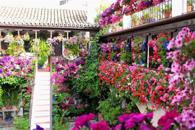 Apartamentos Los Patios De San Agustin Córdoba Exteriér fotografie